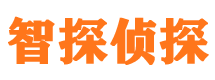 浦东侦探公司